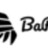 BaRiZzi