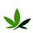 Bonsanto