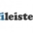 Profileisten